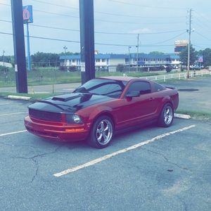 Meet your Posher, Matt